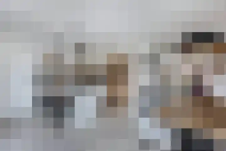 Elzehôf 2 Lemmer thumbnail 17