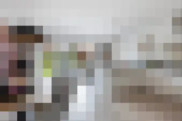 Elzehôf 2 Lemmer thumbnail 18
