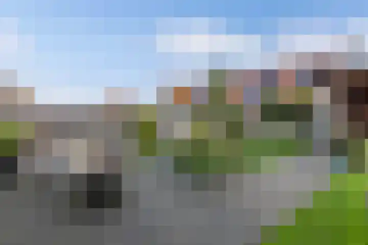 Elzehôf 2 Lemmer thumbnail 21