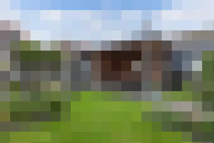 Elzehôf 2 Lemmer thumbnail 23