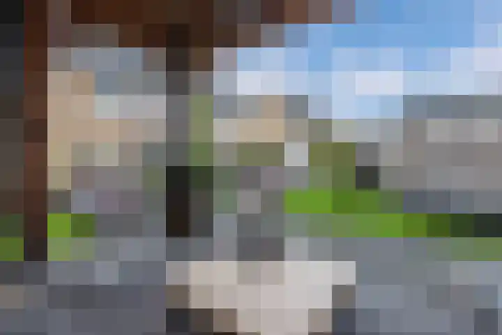 Elzehôf 2 Lemmer thumbnail 25
