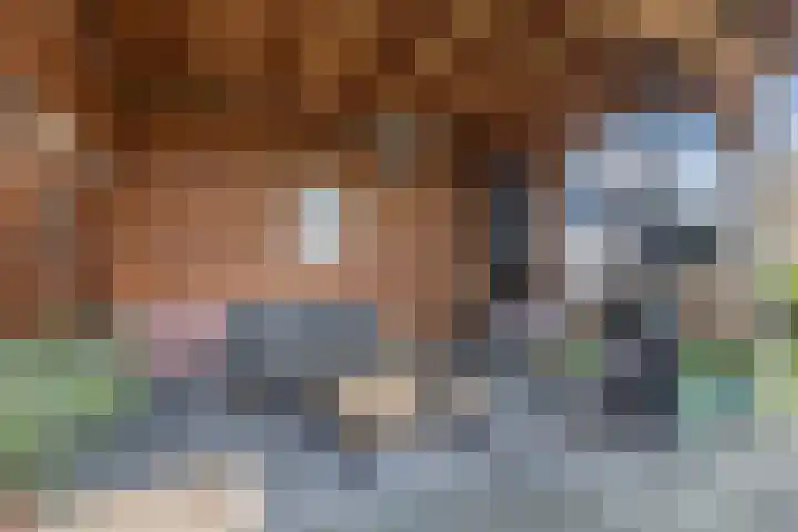 Elzehôf 2 Lemmer thumbnail 26