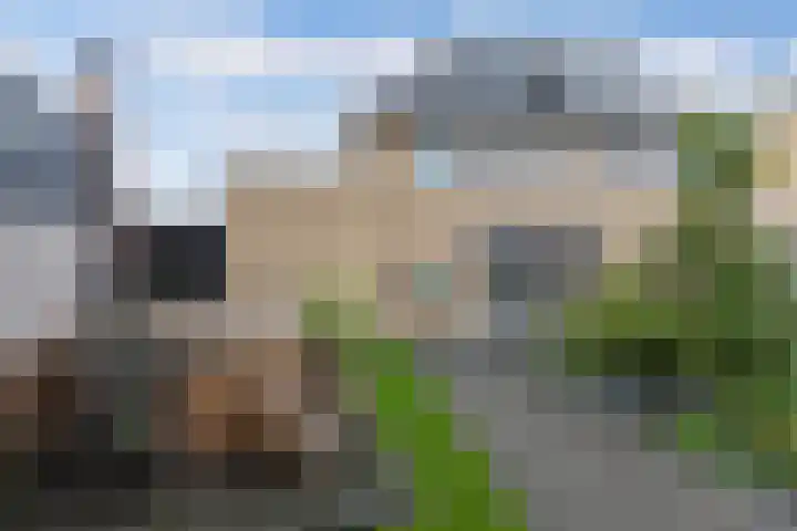 Elzehôf 2 Lemmer thumbnail 28