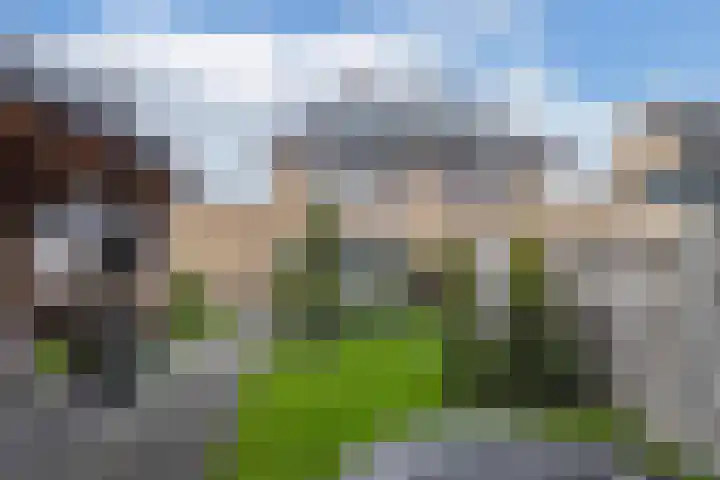 Elzehôf 2 Lemmer thumbnail 29