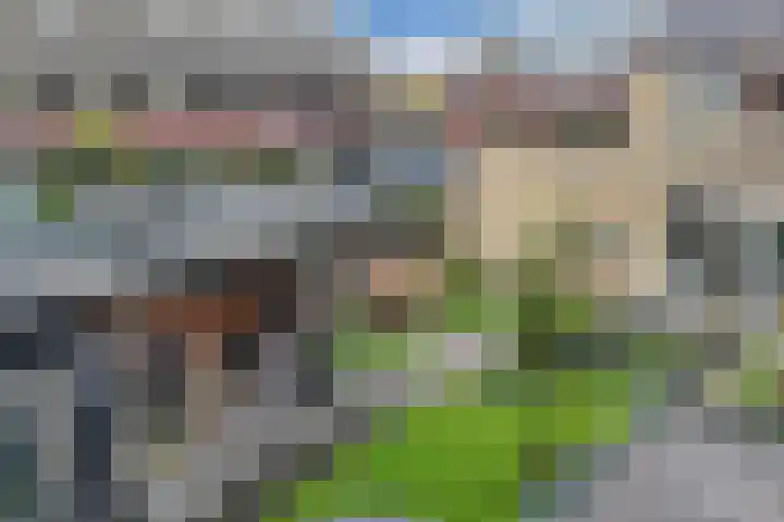 Elzehôf 2 Lemmer thumbnail 31