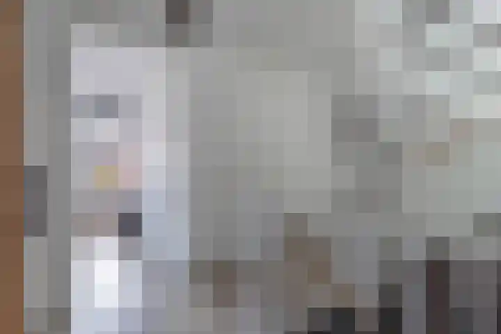 Elzehôf 2 Lemmer thumbnail 32