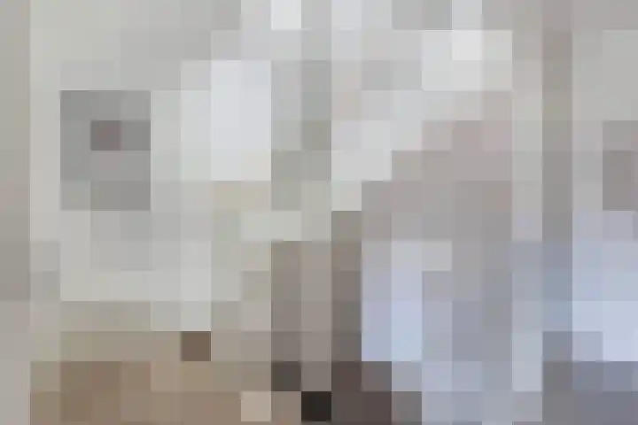 Elzehôf 2 Lemmer thumbnail 33