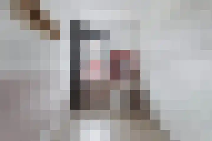 Elzehôf 2 Lemmer thumbnail 34
