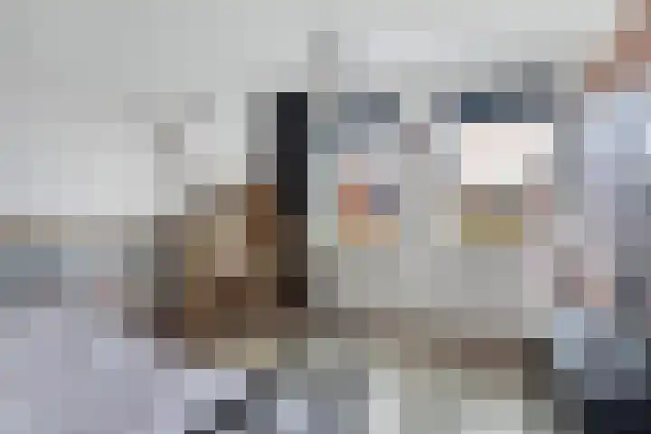Elzehôf 2 Lemmer thumbnail 37