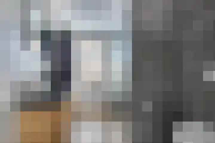 Elzehôf 2 Lemmer thumbnail 41