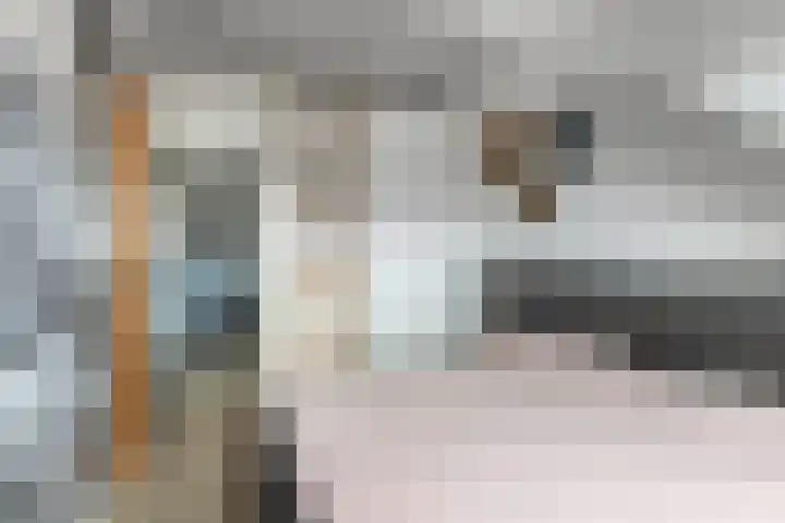 Elzehôf 2 Lemmer thumbnail 44