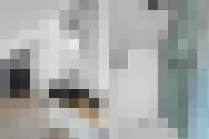 Elzehôf 2 Lemmer thumbnail 46