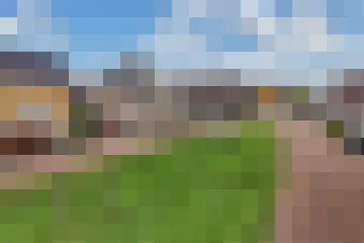 Elzehôf 2 Lemmer thumbnail 47