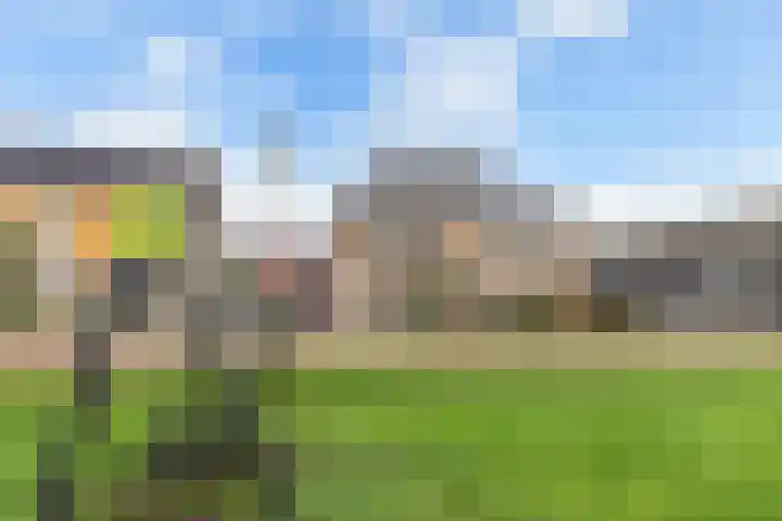 Elzehôf 2 Lemmer thumbnail 48