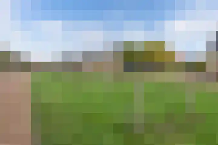 Elzehôf 2 Lemmer thumbnail 49