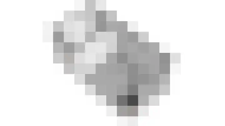 Elzehôf 2 Lemmer thumbnail 62