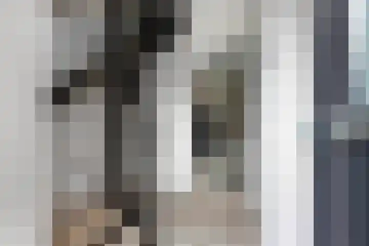 Elzehôf 2 Lemmer thumbnail 7