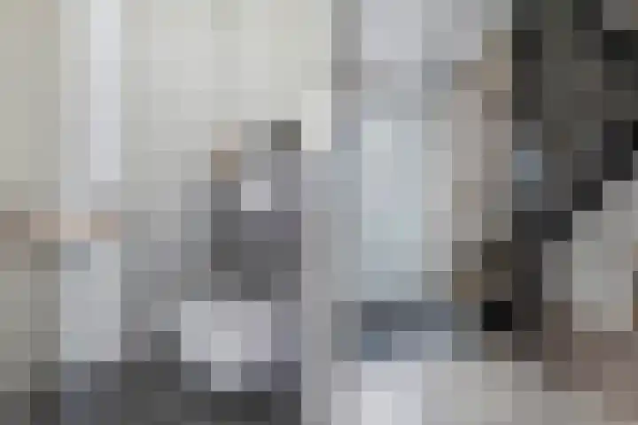 Elzehôf 2 Lemmer thumbnail 8