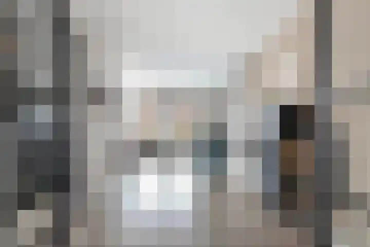 Elzehôf 2 Lemmer thumbnail 9
