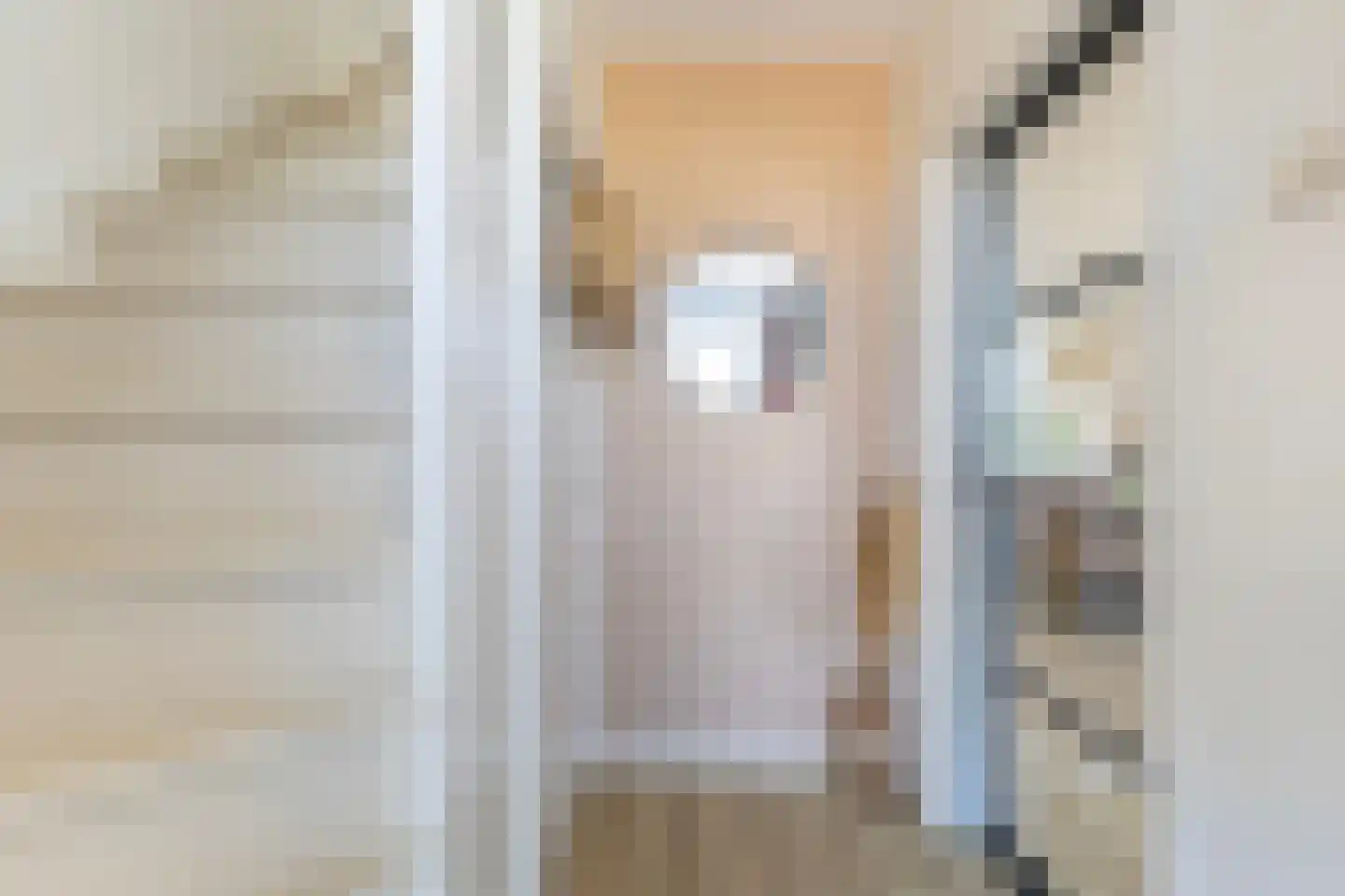 Elzehof 21 Kollumersweach thumbnail 11