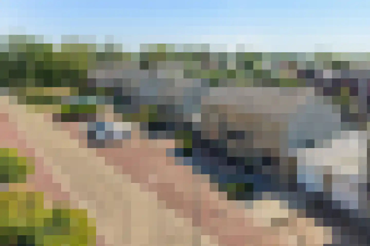 Elzehof 21 Kollumersweach thumbnail 6