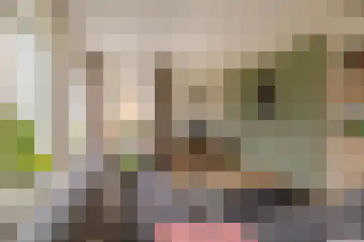 Elzehôf 4 Lemmer thumbnail 10