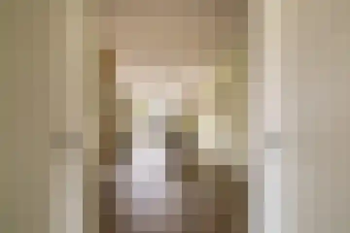 Elzehôf 4 Lemmer thumbnail 12