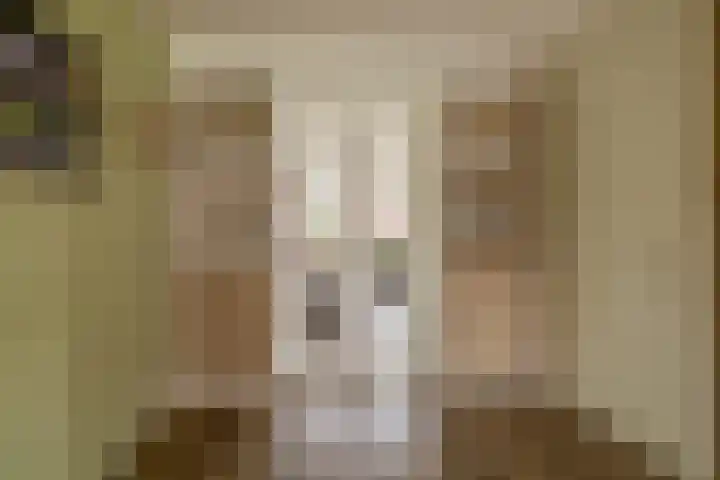 Elzehôf 4 Lemmer thumbnail 13