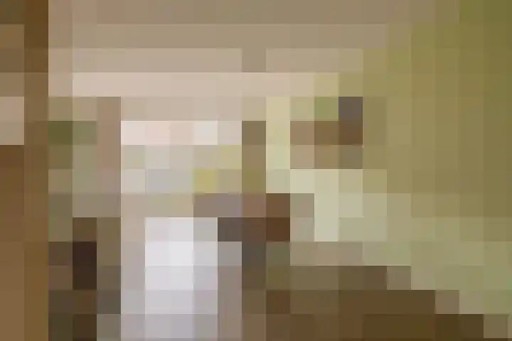 Elzehôf 4 Lemmer thumbnail 14