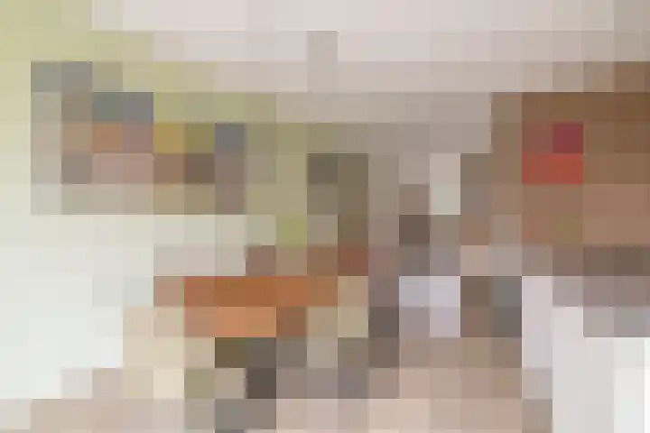 Elzehôf 4 Lemmer thumbnail 15
