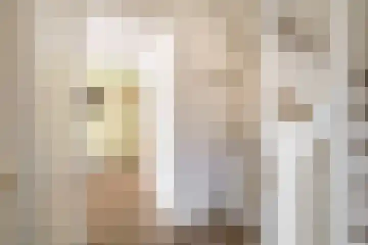 Elzehôf 4 Lemmer thumbnail 17