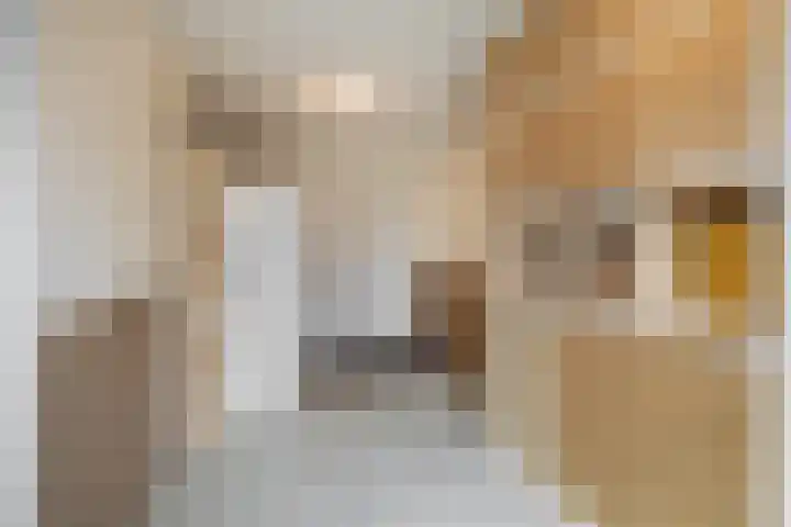 Elzehôf 4 Lemmer thumbnail 20