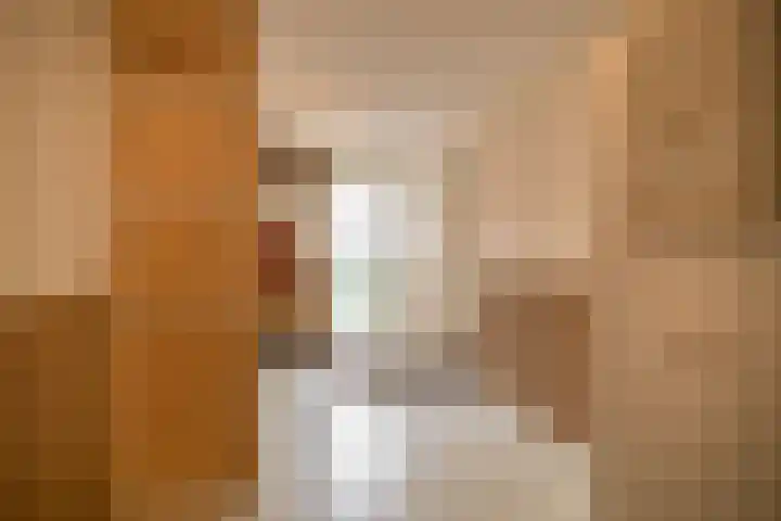 Elzehôf 4 Lemmer thumbnail 21