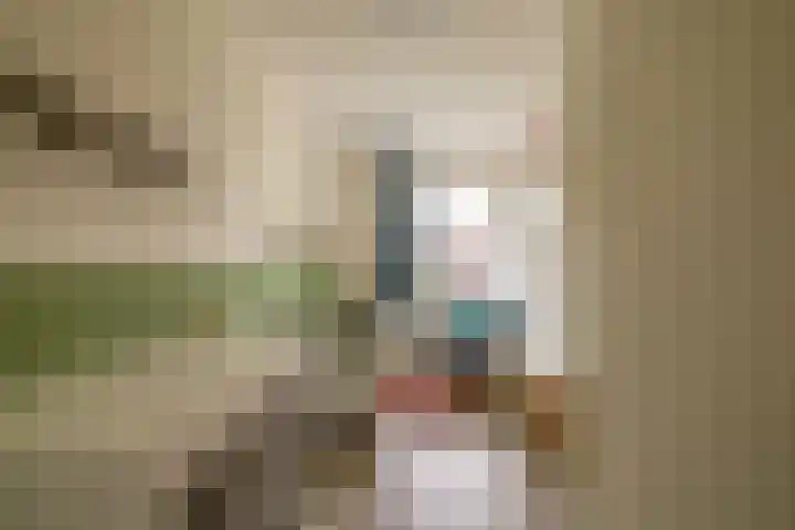 Elzehôf 4 Lemmer thumbnail 22