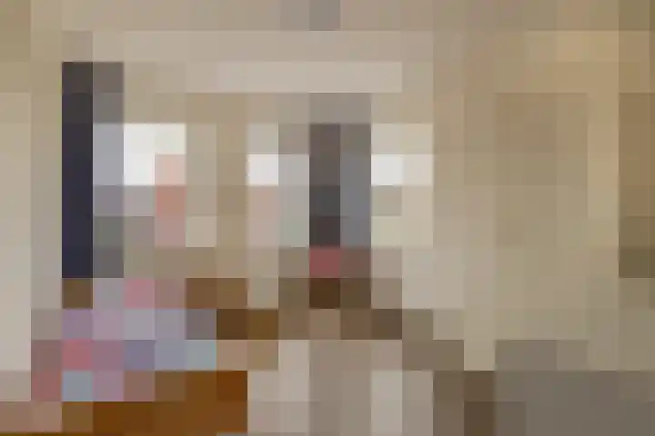 Elzehôf 4 Lemmer thumbnail 23