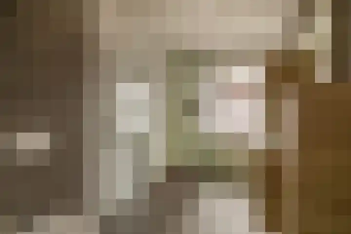 Elzehôf 4 Lemmer thumbnail 24