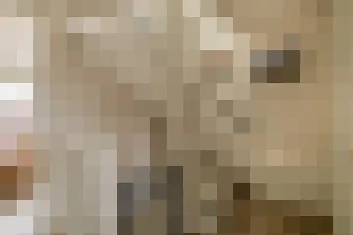 Elzehôf 4 Lemmer thumbnail 27