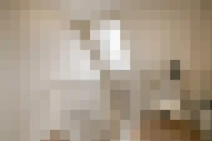 Elzehôf 4 Lemmer thumbnail 28
