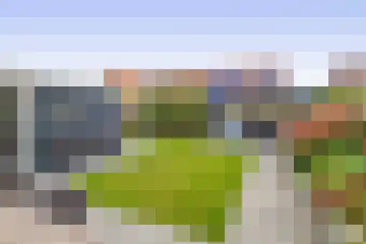 Elzehôf 4 Lemmer thumbnail 34