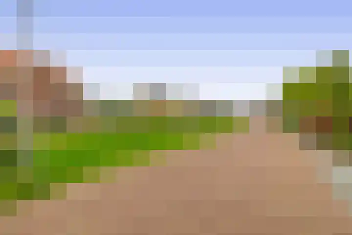 Elzehôf 4 Lemmer thumbnail 37