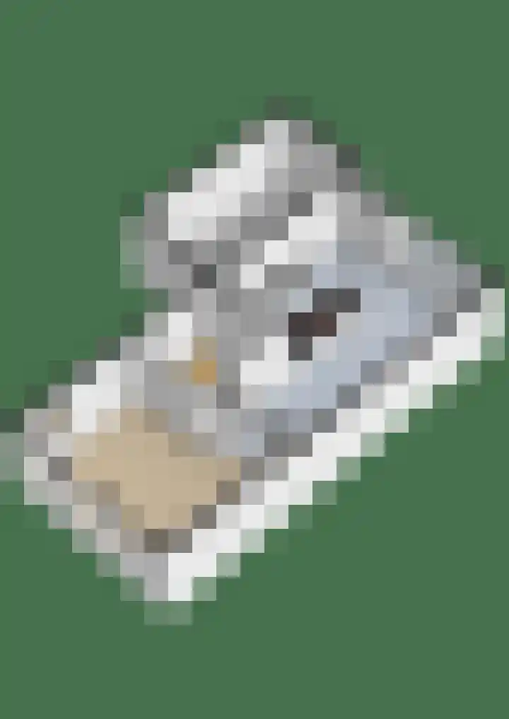 Elzehôf 4 Lemmer thumbnail 39