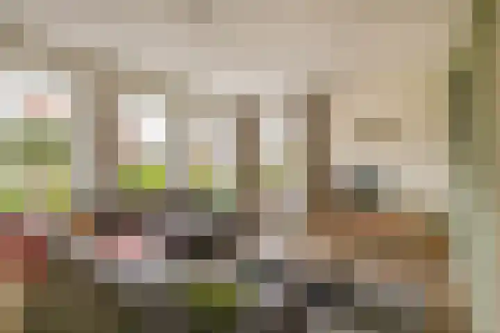 Elzehôf 4 Lemmer thumbnail 9