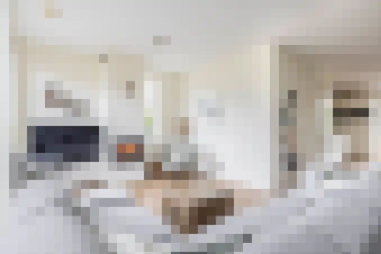 Elzehôf 9 Lemmer thumbnail 10