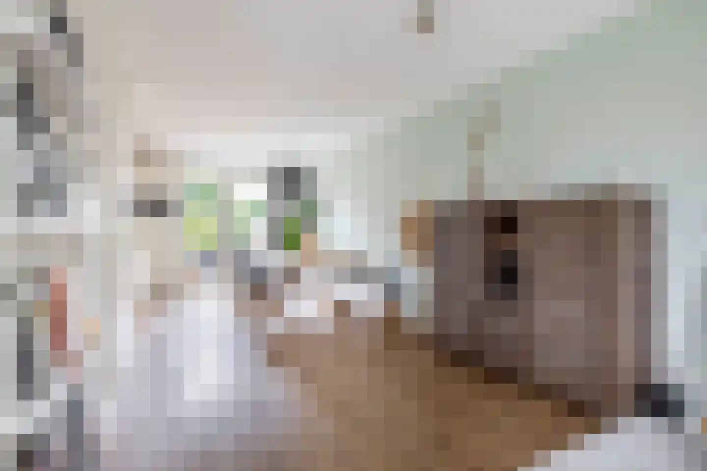 Elzehôf 9 Lemmer thumbnail 12
