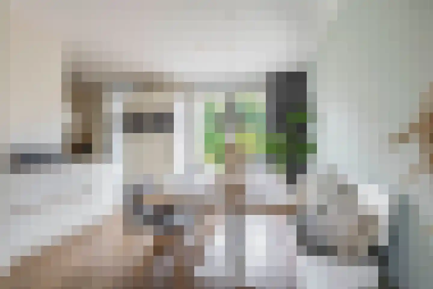 Elzehôf 9 Lemmer thumbnail 14