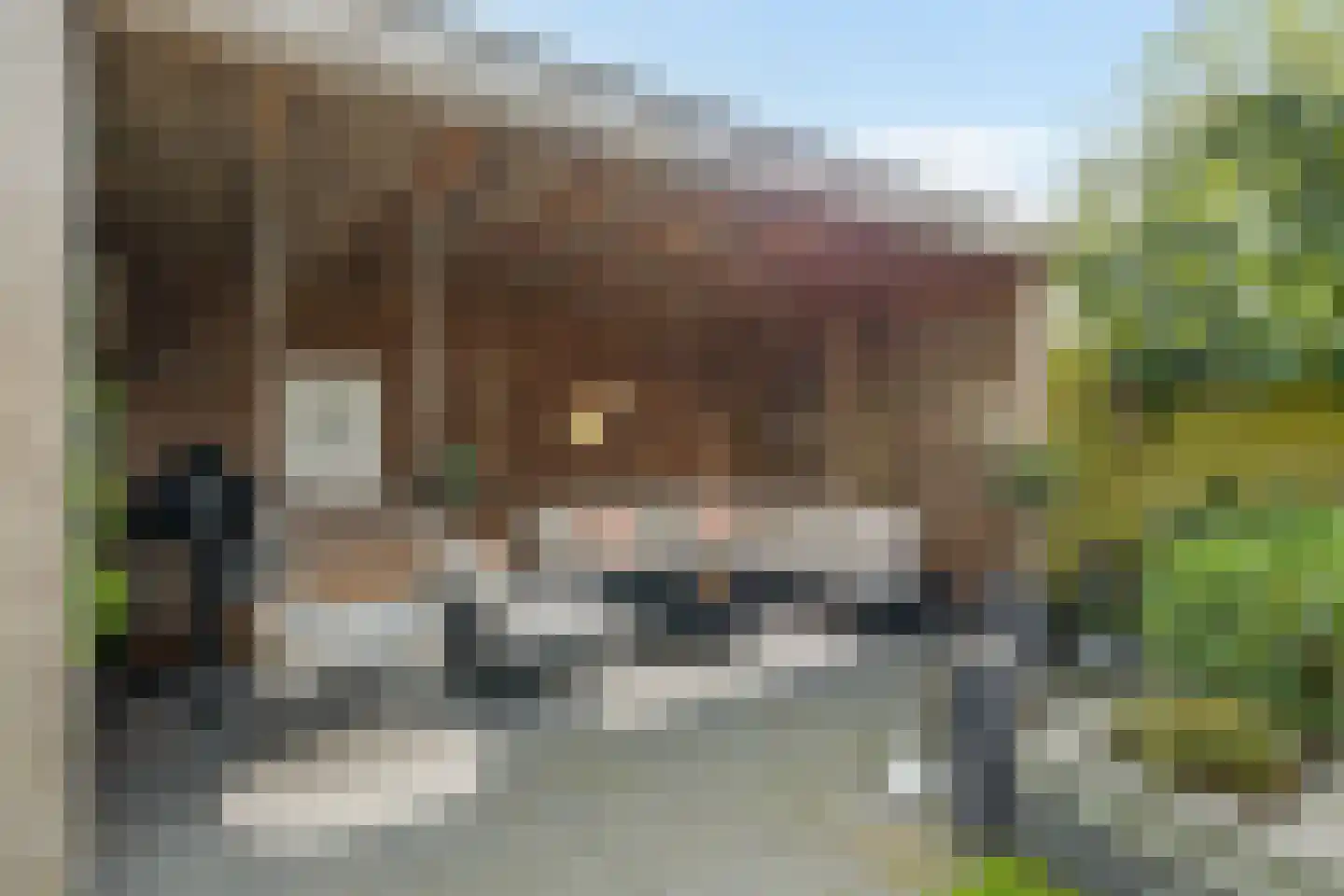 Elzehôf 9 Lemmer thumbnail 33