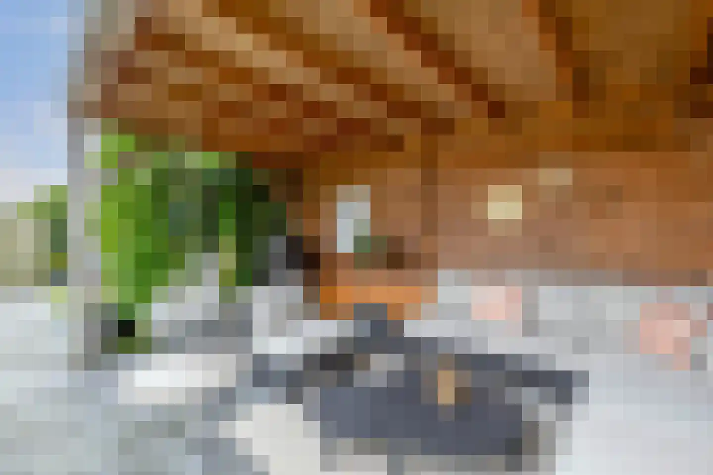 Elzehôf 9 Lemmer thumbnail 34