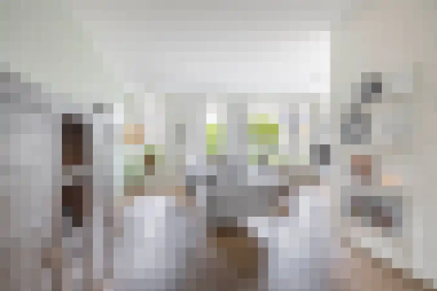 Elzehôf 9 Lemmer thumbnail 8
