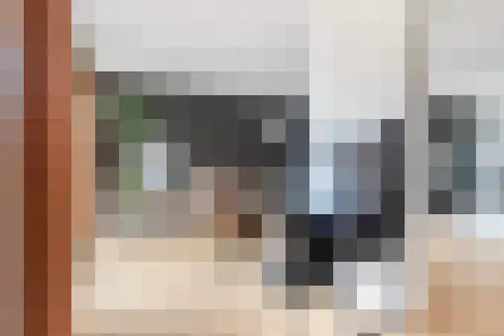 Elzekamp 10 Tytsjerk thumbnail 17