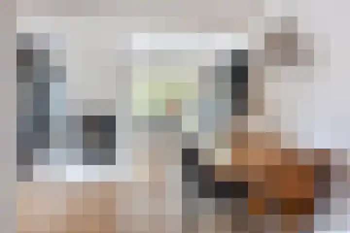 Elzekamp 10 Tytsjerk thumbnail 18